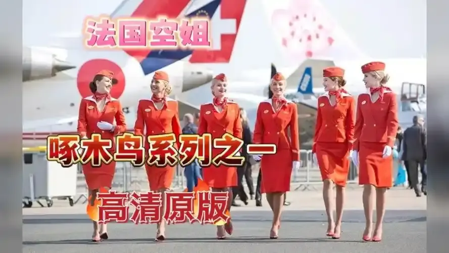 《法国空姐4》资源下载-法国空姐4免费观看完整版-超高清在线播放无卡顿-法国空姐1-3季4K合集