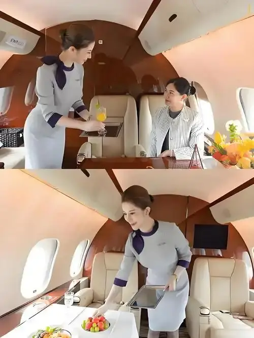 《私人航空/法国航空》未删减版-法国航空高清在线观看-完整版免费播放无弹窗-飘花影院