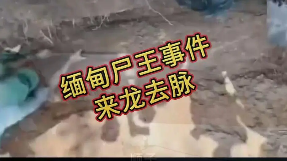 在线观看《缅甸僵尸出土事件视频》诡异真相解密 - 免费播放完整版资源缅北僵尸出土事件始末原视频高清下载